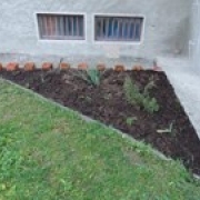 Úprava okolia školy