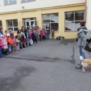 Medzinárodný deň práv zvierat