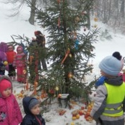 Vianoce pre zvieratká