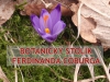 Botanický stolík Ferdinanda Coburga